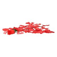 Bellatio Valentijnscadeau voordelige rode roos met rozenblaadjes