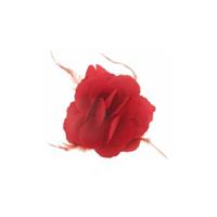 Bellatio Decoratie of haarbloem met veren rood 10x10 cm
