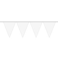 1x Mini vlaggenlijn / slinger wit 300 cm Wit