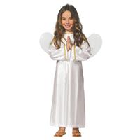 Engel Ariel verkleed kostuum/jurk voor meisjes