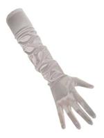 Coppens Zilveren handschoenen