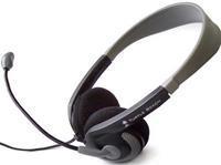 Turtle Beach Ear Force D2 Stereo Headphones & Mic