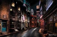Pyramid International Harry Potter Poster Pack Diagon Alley 61 x 91 cm (5)