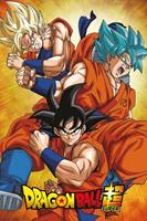 Dragonball Super Goku Poster