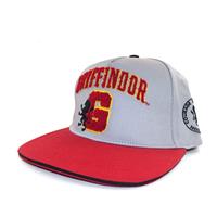 Heroes Inc Harry Potter Curved Bill Cap College Gryffindor