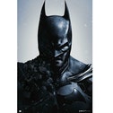 Batman Poster Arkham Batman 135