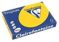 Clairefontaine Trophée Pastel A4, 120 g, 250 vel, goudgeel