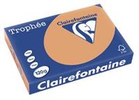 Clairefontaine Trophée Pastel A4, 120 g, 250 vel, mokkabruin