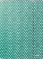 Esselte Colour'Breeze elastomap met 3 kleppen, uit karton, ft A4, groen