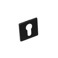 intersteel Profielcilindergat plaatje vierkant plat verdekt RVS -mat zwart