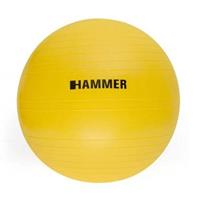 Hammer Gymnastikball, 55 cm Durchmesser