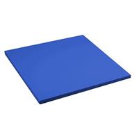 Sport-Thieme Judomat, Blauw, Afmeting ca. 100x100x4 cm