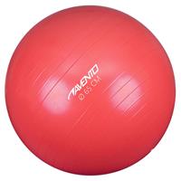 Avento Fitnessbal 65 cm roze