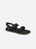 Sandalen Monkey Caged by Quiksilver