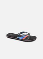 Quiksilver Slippers Molokai Slab Youth by 