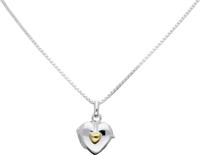 Unknown Classic&more -collier medaillon - zilver - hart met geel hart