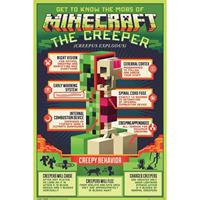 Gbeye Minecraft Creepy Behavior Poster 61x91,5cm
