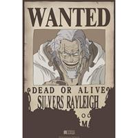 Merkloos Abystyle One Piece Wanted Rayleigh Poster 35x52cm