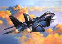 Revell 1/114 F-14a Black Tomcat