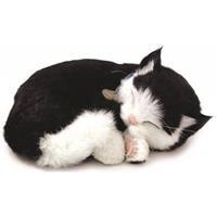 Perfect Petzzz Soft Zwart met witte Kat