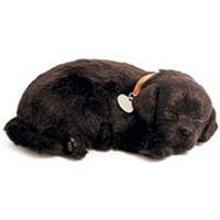 Perfect Petzzz Soft Zwarte Labrador