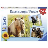 Ravensburger Puzzle Liebe Pferde 3 X 49
