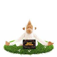 Happy Horse Verjaardag knuffel aapje 23 cm met gratis verjaardagskaart Wit