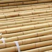 Bamboestokken 60cm per 1000