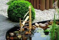 Waterornament Bamboo