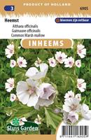 Althaea officinalis Heemst