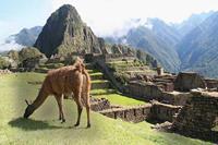 Individuele rondreis Peru
