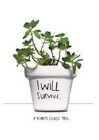 Abodee I Will Survive Plantpot