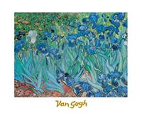 PGM Vincent Van Gogh - Iris Kunstdruk 30x24cm