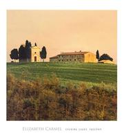 PGM Elisabeth Carmel - Evening Light, Tuscany Kunstdruk 45x50cm