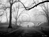 PGM Henri Silberman - Gothic Bridge, Central Park NYC Kunstdruk 80x60cm