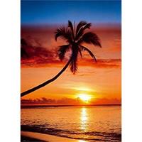 GBeye Sunset and Palm Tree Poster 61x91,5cm