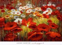 PGM Lucas Santini - Meadow Poppies II Kunstdruk 91x66cm