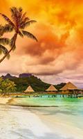 Dimex Polynesia Vlies Fotobehang 150x250cm 2-banen