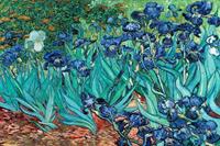Pyramid Van Gogh Les Irises Poster 91,5x61cm