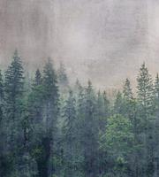 Dimex Forest Abstract Fotobehang 225x250cm 3-banen