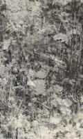Dimex Nature Gray Abstract Fotobehang 150x250cm 2-banen