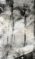 Dimex Palm Trees Abstract Fotobehang 150x250cm 2-banen