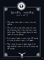 ABYstyle Death Note Rules Poster 38x52cm