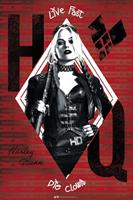 ABYstyle DC Comics Harley Quinn Poster 61x91,5cm